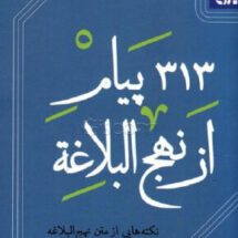 ۳۱۳ پیام از نهج البلاغه